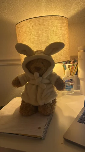 Jellycat Bartholomew Bear Collection photo review