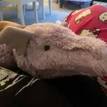 JellyCat Dragons Collection photo review