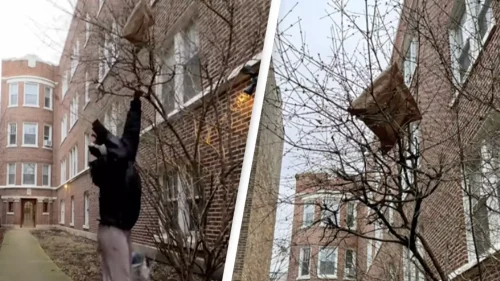 Jellycat Bartholomew Bear Collection photo review